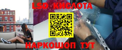 шишки Абакан