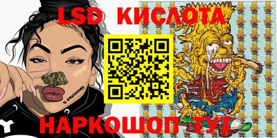 шишки Абакан