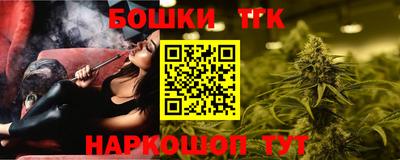 шишки Абакан