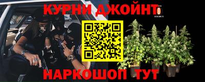 шишки Абакан