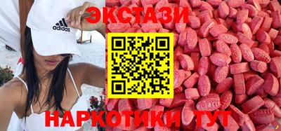 шишки Абакан