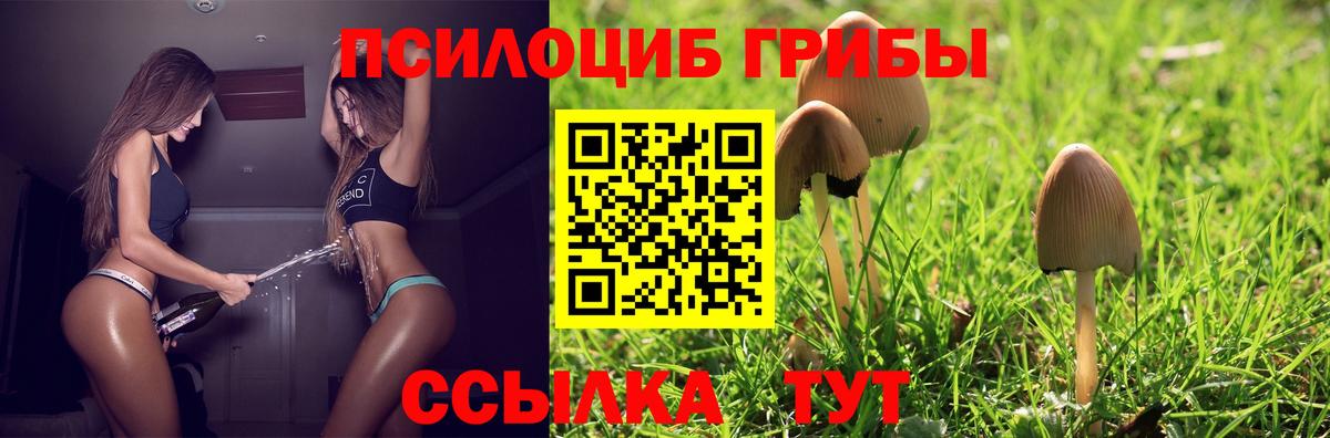Псилоцибиновые грибы Magic Shrooms Абакан